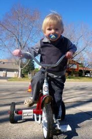 30-36 Months Physical