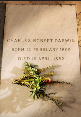 Darwin´s burial