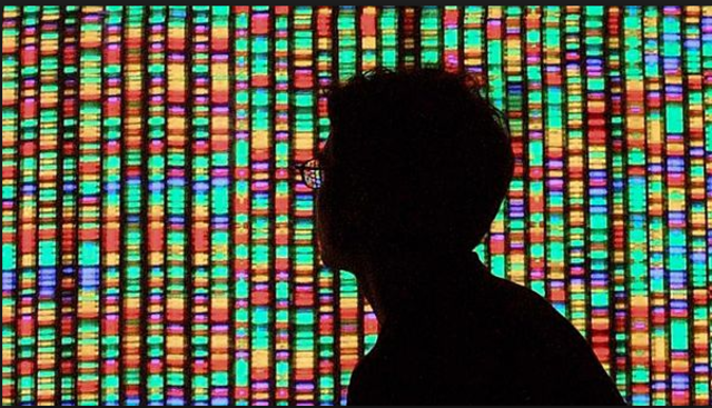 Human genome