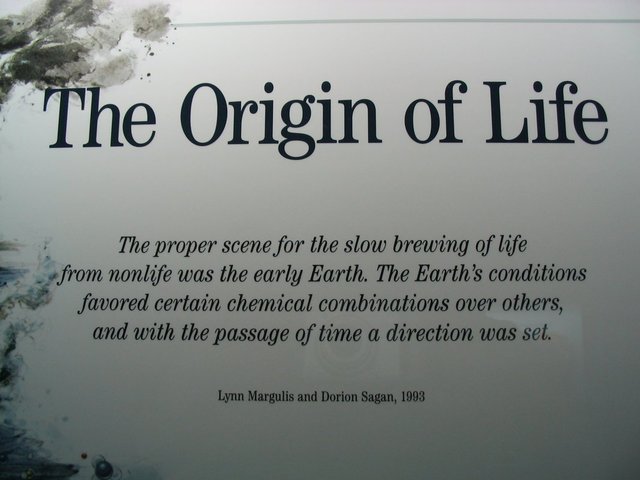 Origins of Life
