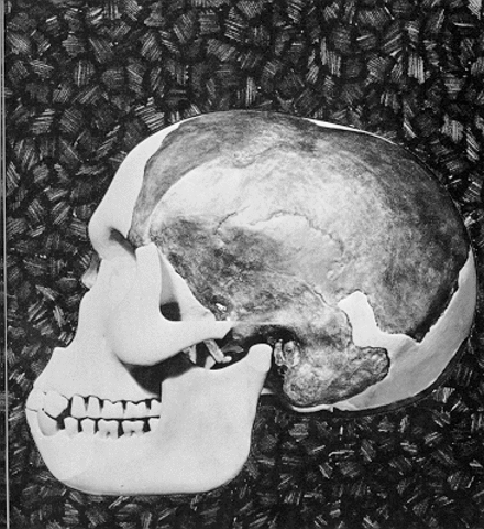 Piltdown Man