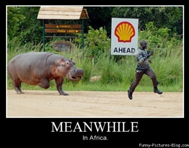 Germans flee North Africa