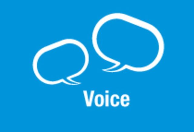 IP Voice Division Born