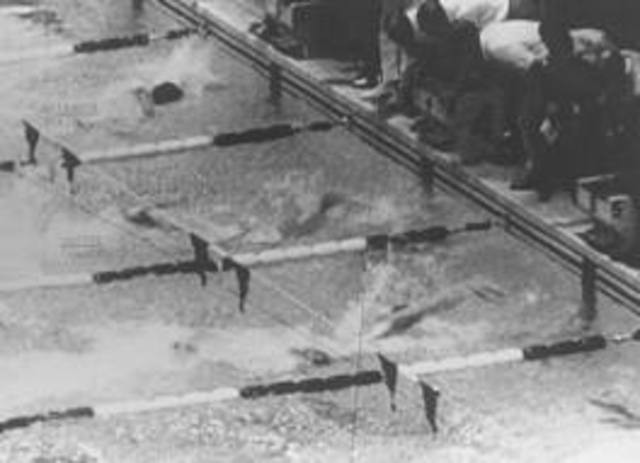 swimming italy, olympics