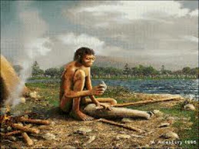 Homo Erectus