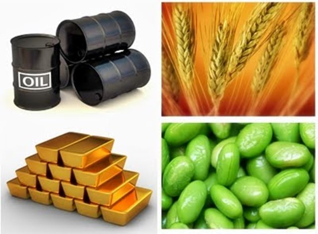 Evolución de materias primas