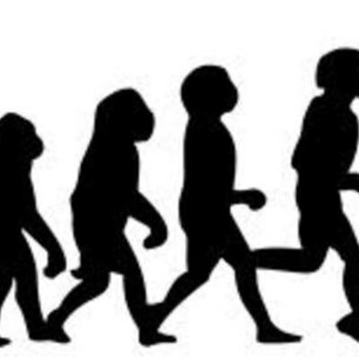 Timeline: Evolution
