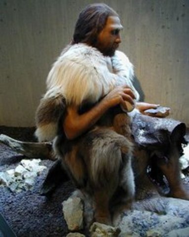 Homo Nanderthalensis 1.1