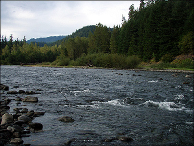 First Rowing Event Cancelled