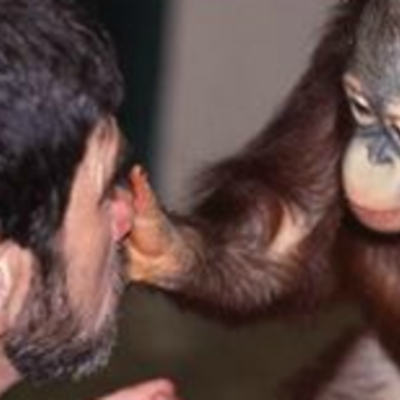 Timeline: Historia de México