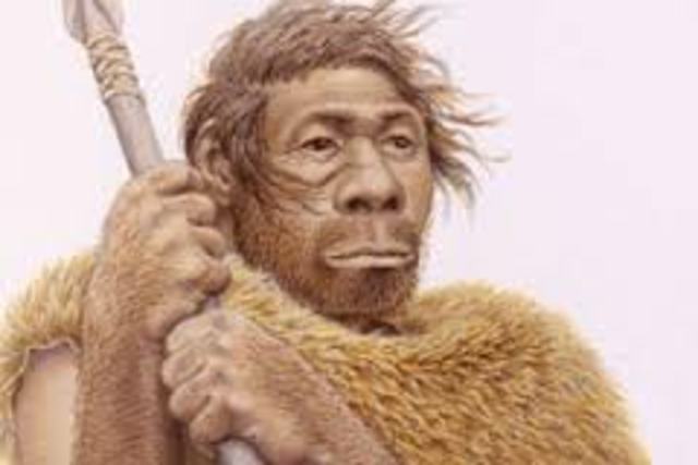Homo neardenthalensis PARTE 1