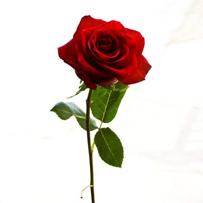 Timeline: mis primeros momentos