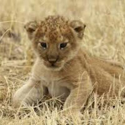 Timeline: mis primeros momentos