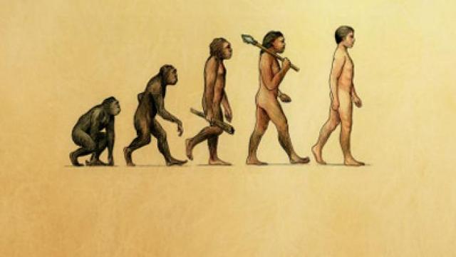 Anti-evolution Bills