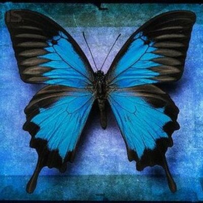 Timeline: MIS PRIMEROS MOMENTOS