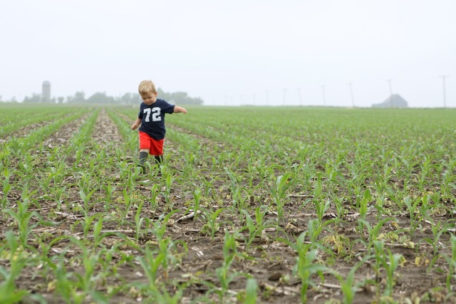 30-36 months- Physical Development