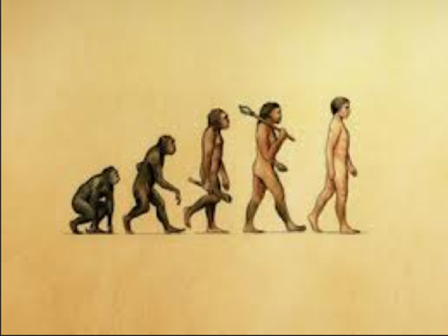 first anti evolution bill