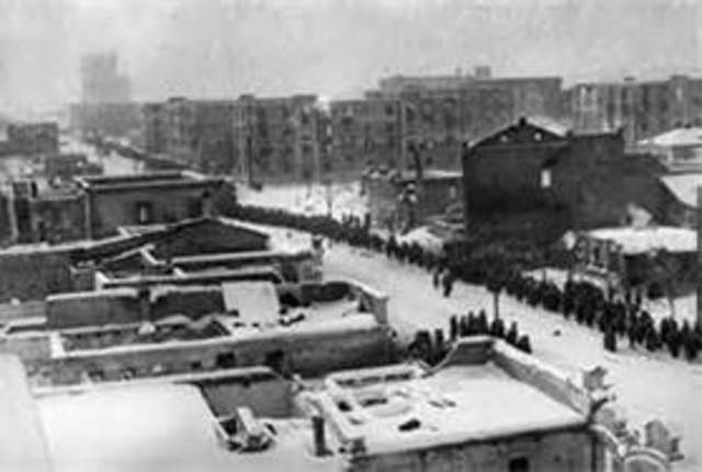 Germans Surrender at Stalingrad
