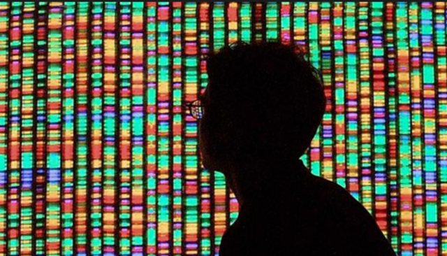 Human Genome