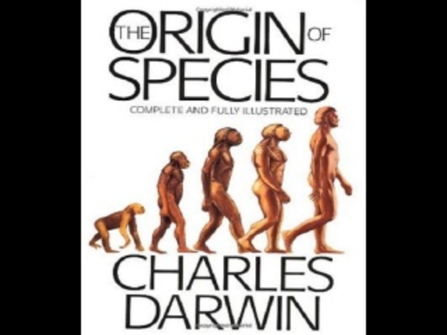 Origin of Species