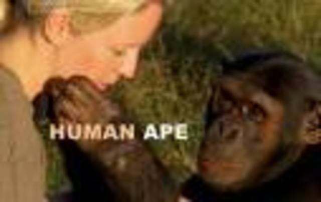 Human and Apes