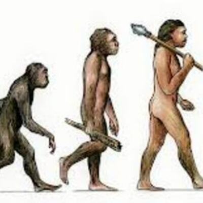 Timeline: History of Evolution