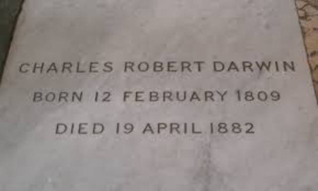 Darwin´s burial