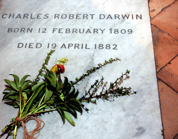 Darwin´s burial