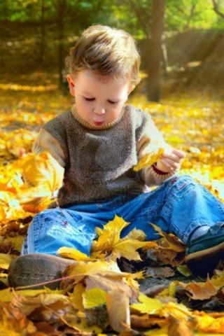 30-36 months-Cognitive development