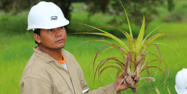 CONSTRUCCION DEL OLEODUCTO CENTRAL