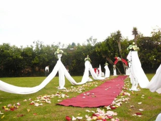 PROYECCION A 20 AÑOS