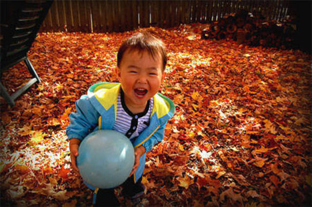 22-24 Months Physical Development