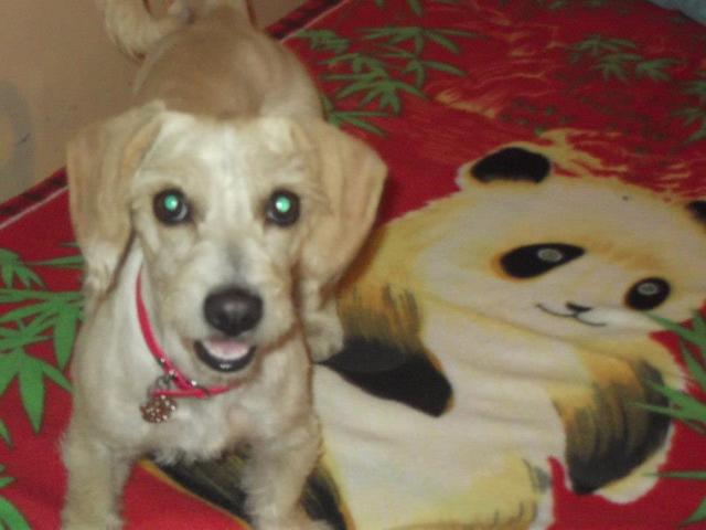 Ella es nuestro mundo entero