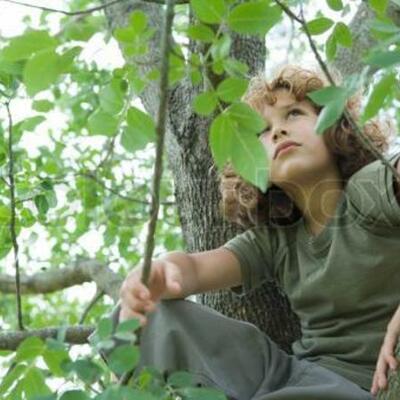 Timeline: Ekke Moori elukäik