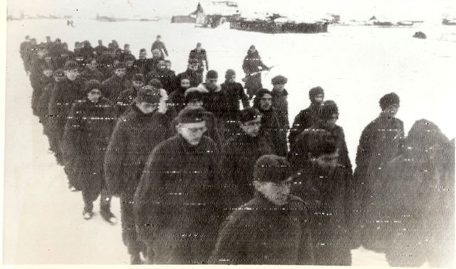 German forces surrender at Stalingrad