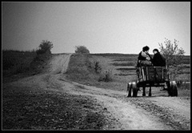 Kahe noorema venna lahkumine