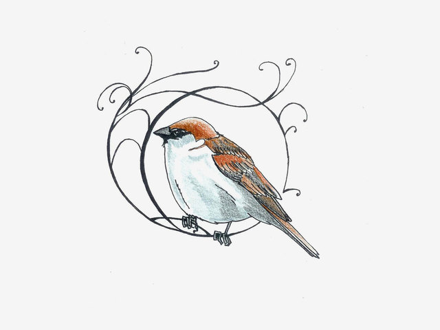 Kohtumine Pille Riiniga