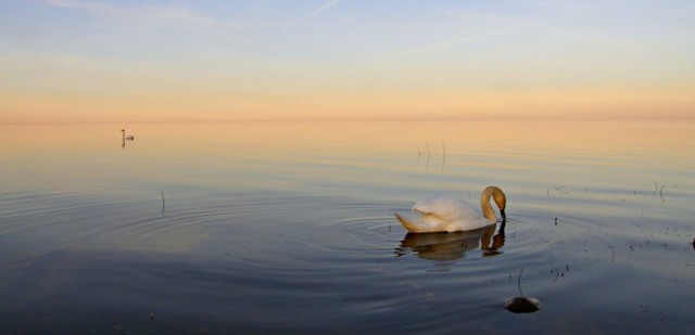 Poemüüjana Peipsi ääres