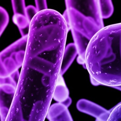 Timeline: Microbiología