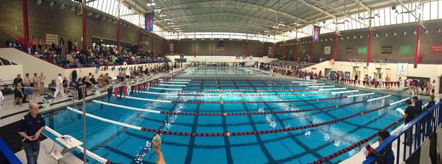 Schwimmmeisterschaft