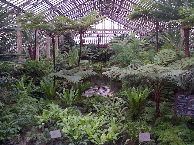 Conservatory