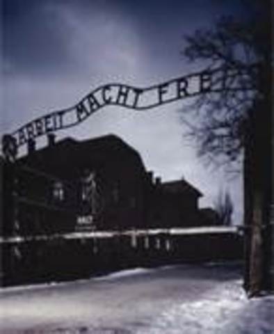 Nazi's Implement the "Final Solution"