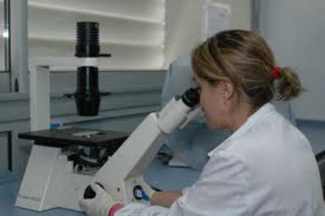 Acuerdo No 146 de junio 20 de 1991