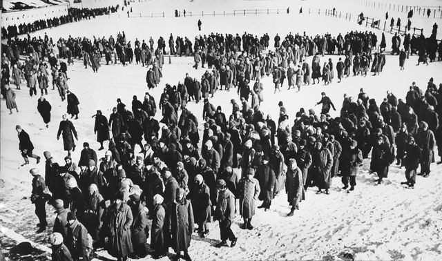 German forces surrender at Stalingrad