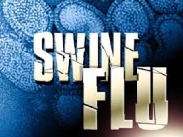 Swine Flu Scare