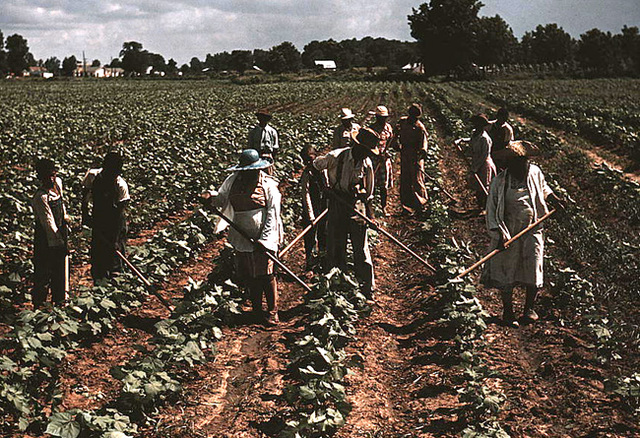 Revolution in Agriculture