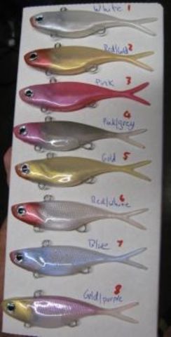 age 16 got a job for a fishing business