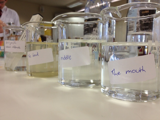 Testing of Salinity and Ph levels