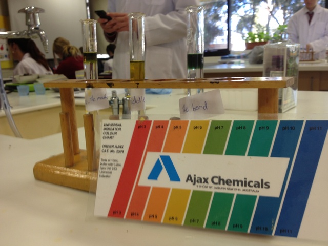 Writing Up of Practical Reports