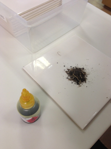 Ph level testing for week 1 & 2 soil samples is undertaken, along with texture testing